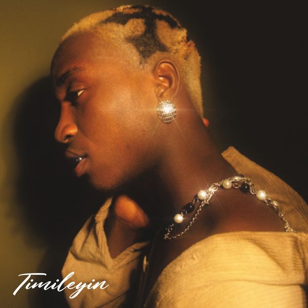 Tml Vibez - Goated