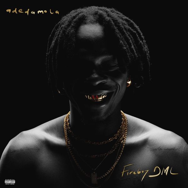 Fireboy DML - call me