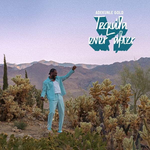 Adekunle Gold - Wrong Person