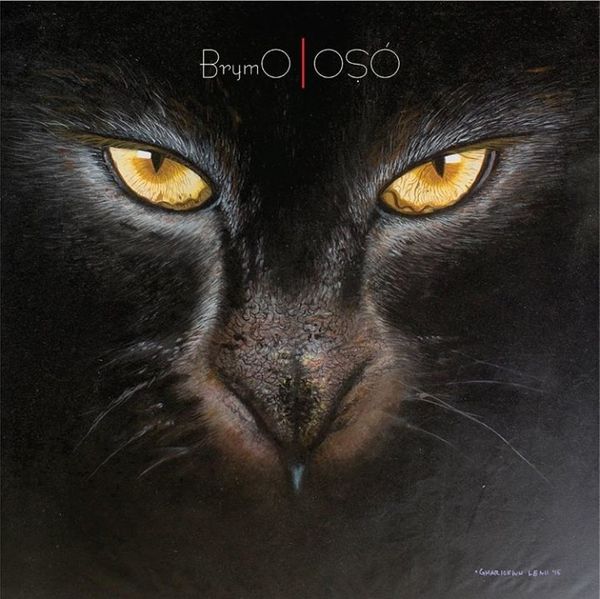 Brymo - Money Launderer And Heartbreakers