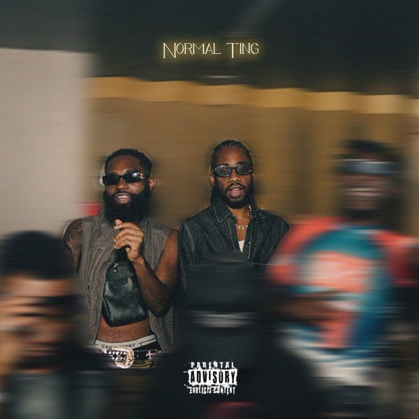 Yung D3mz - Normal Ting